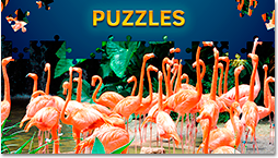 Dogs Jigsaw Puzzles Free